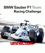 game pic for BMW Sauber F1 Team Racing Challenge